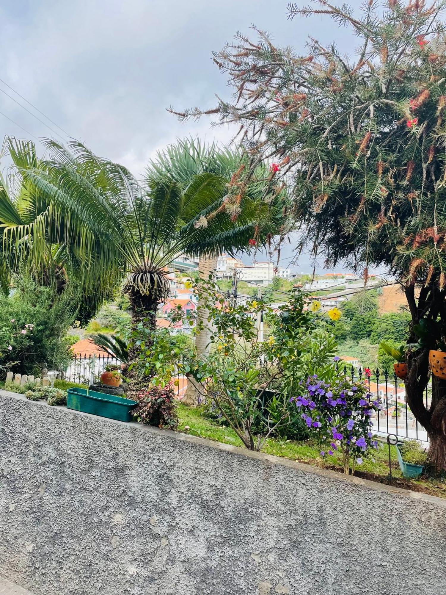 Cozy House Hotel Funchal  Exterior photo
