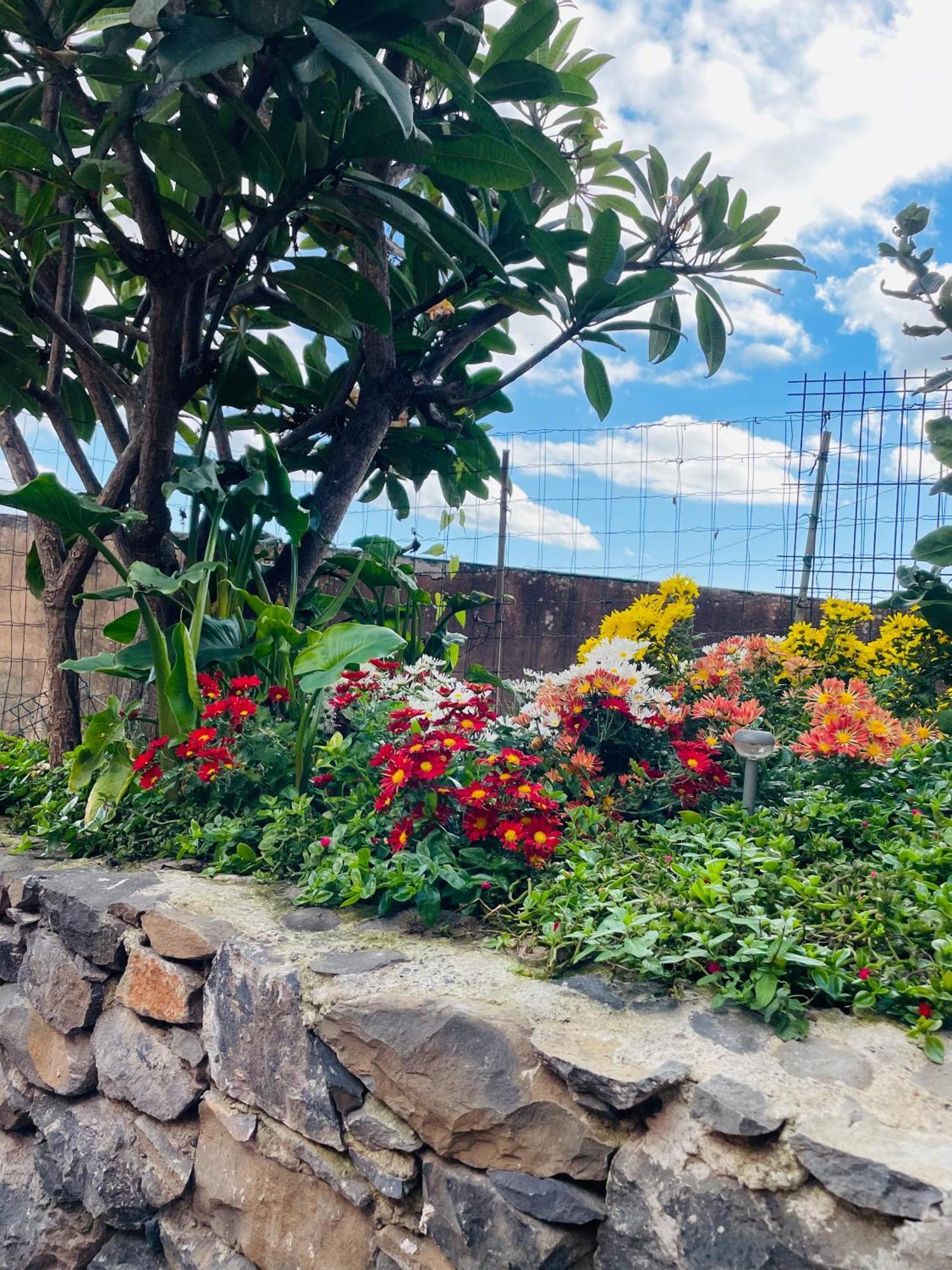 Cozy House Hotel Funchal  Exterior photo